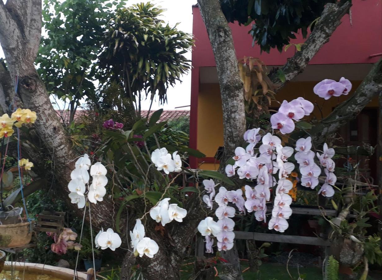 Hotel Pousada Bromélias Nova Viçosa Exterior foto